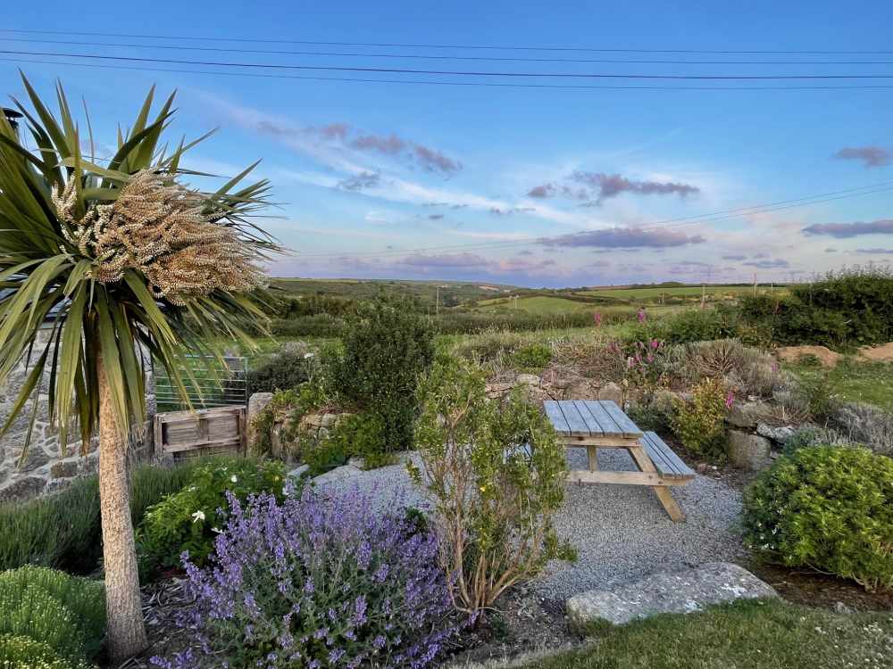 Private outside seating area in garden of Trengothal barn with a lavender flowerbed and view down Penberth valley with interesting clouds on blue sky background