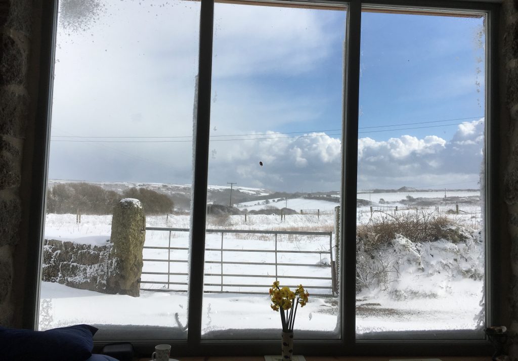 View through large window of snow covered fields with vase of daffodils on window cill